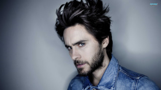 Man beard denim jacket posing - erlund hudson free wallpaper