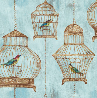 Blue wall bird cage side - a blue wall free wallpaper