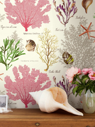 Sea life wall vase flowers - a wall free wallpaper
