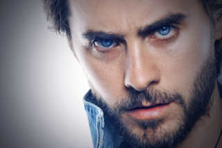 Man beard blue eyes serious 2 - look free wallpaper for desktop