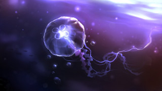 Jellyfish floating water bubbles head - head and neck free wallpaper