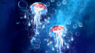 Jellyfish floating water bubbles blue 3 - jellyfish free wallpaper