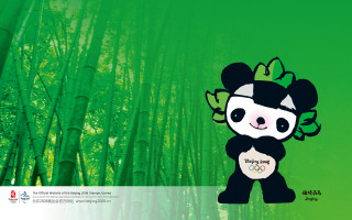 Panda bear panda face bamboo - johnson free wallpaper