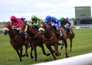 Horse race crowd sky track - a race track free wallpaper for desktop