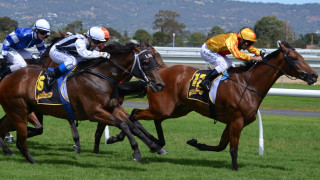 Men horses race track sky - a group of men free wallpaper