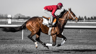 Jockey horse race track background - american impressionism free wallpaper