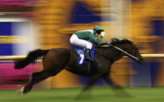 Jockey horse race field blurry - delaunay free wallpaper