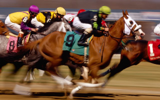 Horses racing jockeys track numbers - a track free wallpaper