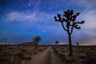 Dirt road tree stars sky - full free wallpaper
