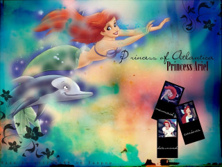 Mermaid dolphin princess sea back - back free wallpaper