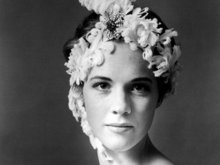 Woman flower hair dress looking - 1 9 6 0 s free wallpaper