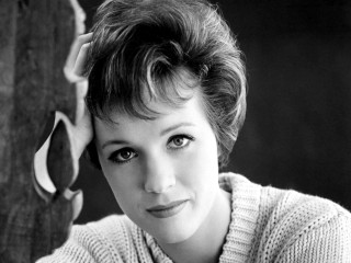 Woman sweater posing picture hair - 1 9 6 0 s free wallpaper