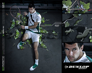 Man tennis racquet court ivy - ivy free wallpaper