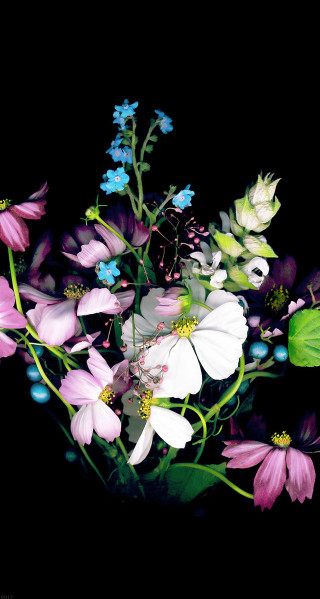 Bouquet dark room black background - arie smit free wallpaper