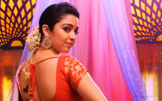 Woman red gold sari flower - her hair and a flower free wallpaper