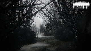 Black white forest path foggy - bedwyr williams free wallpaper