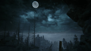 Full moon snowy forest night 2 - a dark sky free wallpaper