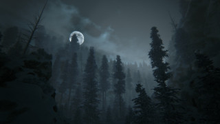 Full moon forest night fog - over a forest free wallpaper