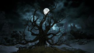 Tree full moon snow ground - a full moon in the background free wallpaper