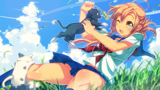 Girl dress cat shoulder grass - her hand and a cat free wallpaper