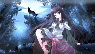 Woman dress sitting rock forest - a rock in a forest free wallpaper