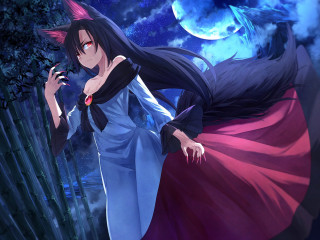Woman red dress fence full - a fence free wallpaper