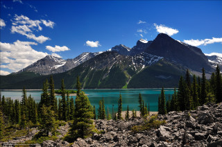 Mountain lake trees foreground scenery 2 - a lake in the foreground and trees free wallpaper