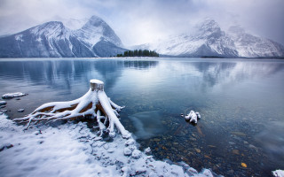 Snowy mountain lake tree stump - a matte painting free wallpaper