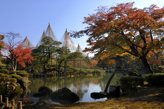 Pond trees rocks pagoda autumn - christo free wallpaper