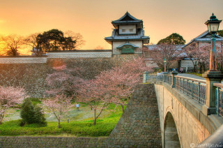 Bridge tower tree pink flowers - eishōsai chōki free wallpaper