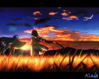 Couple people field grass bird - ufotable free wallpaper