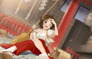 Woman sitting broom red fence - a broom free wallpaper