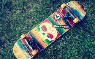 Skateboard skull grass sticker side - brian thomas free wallpaper