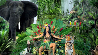 Woman costume tiger jungle tiger - jungle free wallpaper