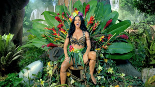 Woman bench plants forest sculpture - david lachapelle free wallpaper
