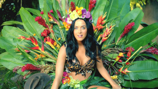 Woman bikini plant flowers hat - her head and a hat free wallpaper