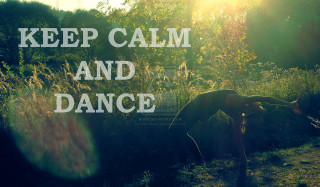Horse keep calm dance sunshine - a horse free wallpaper