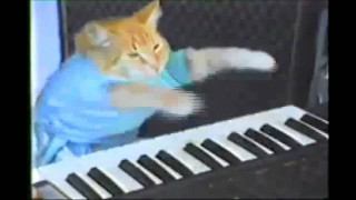 Cat playing toy keyboard room - synthwave free wallpaper