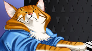 Cat sleeping piano zebra love - carlos catasse free wallpaper for desktop