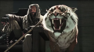 Man sword tiger mouth open - his mouth wide open free wallpaper