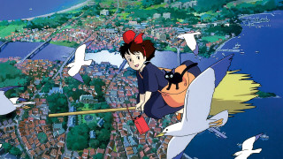 Woman flying stick cat city - a city free wallpaper