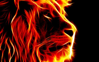 Lion flames dark red yellow - felipe seade free wallpaper