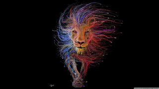 Lion colorful pattern black background - its face and body free wallpaper