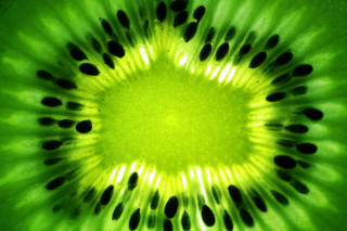 Kiwi fruit green center black - black dot free wallpaper