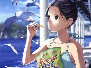 Girl water seagulls flying bag - the water free wallpaper
