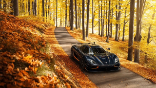 Black sports car woods autumn - art nouveau free wallpaper