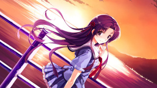 Girl dress railing hair wind - a girl in a dress free wallpaper