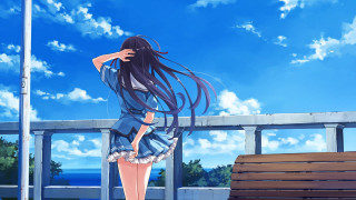 Woman long hair bench blue - a bench in front free wallpaper