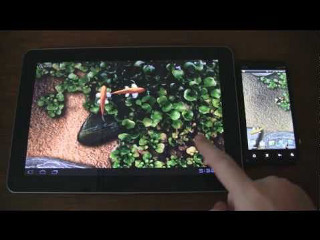 Person pointing tablet fish pond - dynamic camera angle free wallpaper