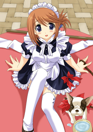 Girl maid outfit bed dog - nearby free wallpaper